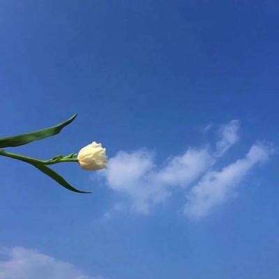 食点药闻：第四批国家药品集采开标
