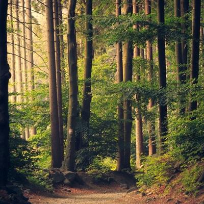 一周文艺：余华、史铁生等位列年度影响力作者，央视春晚将首次在B站直播