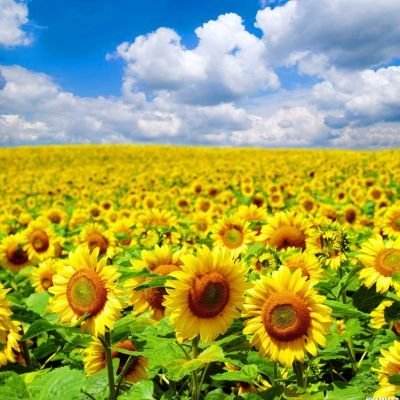北京今年开通地铁17号线全线和6号线南延