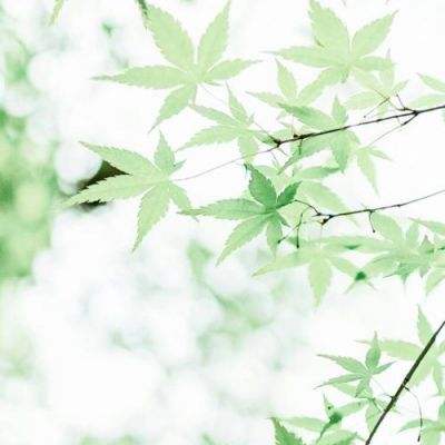 无人机撞停加州山火灭火飞机 美联邦调查局公开征集线索找肇事者