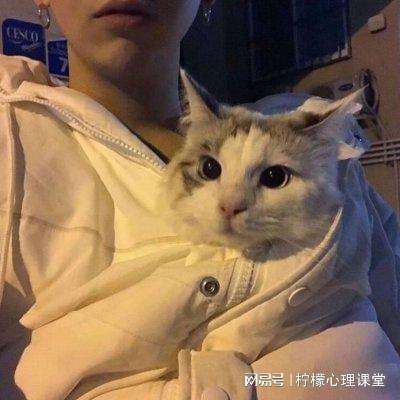 蘑菇传媒mv在线观看截图3