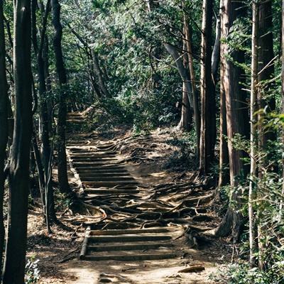 两会时间｜梁晨代表：解决微公园停放共享单车问题，把公园使用权还给居民