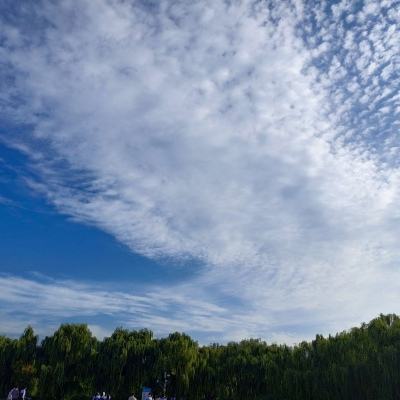 （聚焦中国高质量发展）中国出口八连增 ...