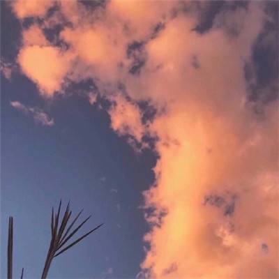 意外发现了一个掉称超快的减肥方法：高低碳循环