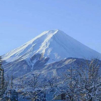专访市公园管理中心主任张勇：国家植物种质资源库预备库今年运行