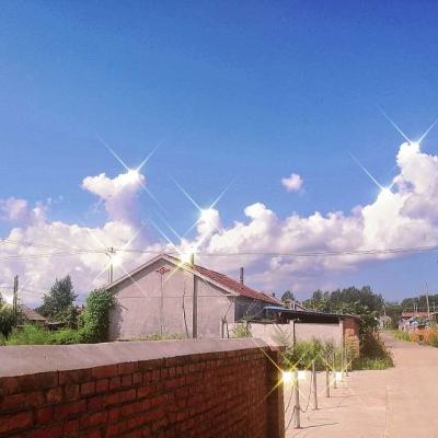 上海市长会见德国敦豪集团首席执行官，欢迎企业持续加大在沪投资力度