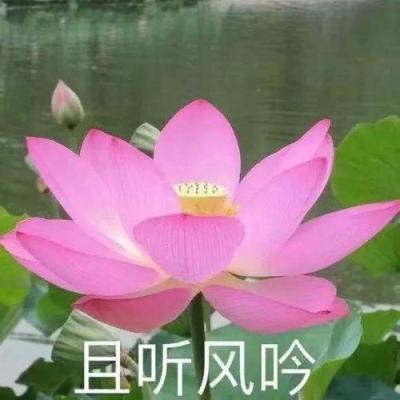 埃塞俄比亚证券交易所开市交易 目前仅1家公司上市