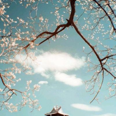 黑神话悟空：斗罢艰险，能否出发？