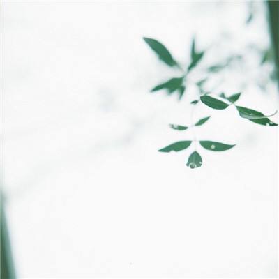 【画师修炼】2025年历小图