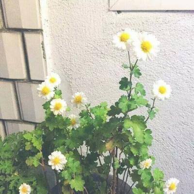 美军2艘新航母将以克林顿和布什命名