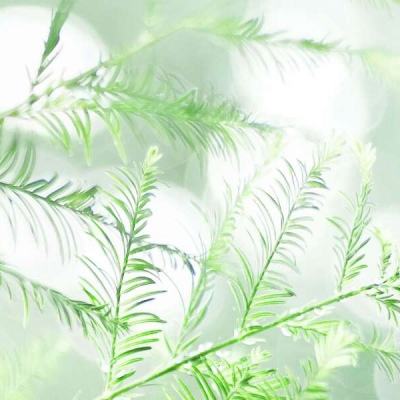 《荀子·大略》27.15
