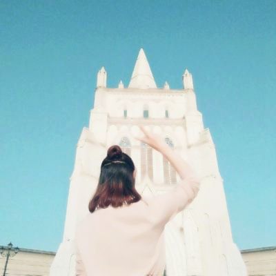 从“年宵花”春运地图里感受年味渐浓 “鲜花经济”欣欣向荣