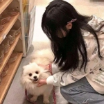 英媒：洛杉矶山火引发“超毒性”肺损担忧